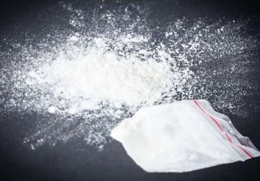 CREATOR: gd-jpeg v1.0 (using IJG JPEG v62), quality = 82